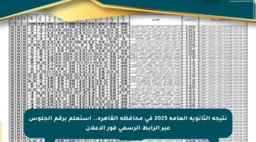 نتيجة الثانوية العامة 2025 في محافظة القاهرة.. استعلم برقم الجلوس عبر الرابط الرسمي فور الإعلان